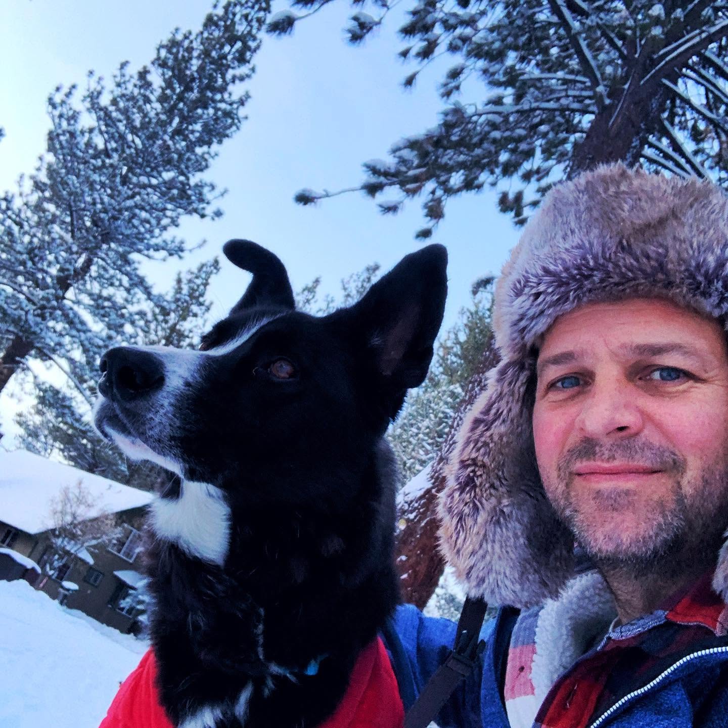 Dennis Goedegebuure with Auggie Moon, the family dog, in the snow